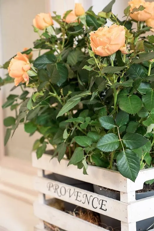 Campo Marzio Charming B&B ローマ ベッド・アンド・ブレックファスト